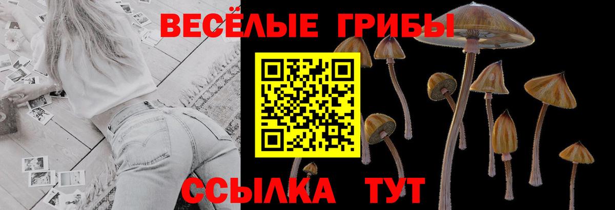 Краснознаменск  Галлюциногенные грибы GOLDEN TEACHER  Вход с VPN 